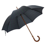 Klassischer grüner Regenschirm