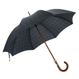 Klassischer grüner Regenschirm 