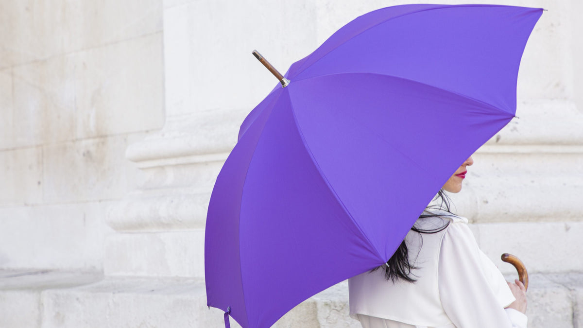 A Bucklesbury umbrella at the Old Royal Naval College, Greenwich